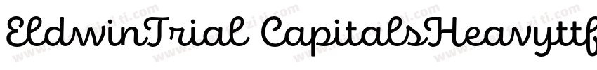 EldwinTrial CapitalsHeavyttf字体转换